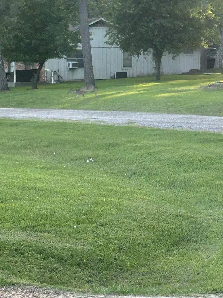 Trusted residential landscaping for homes in Bryan, TX by Clean Cuts Lawn Care