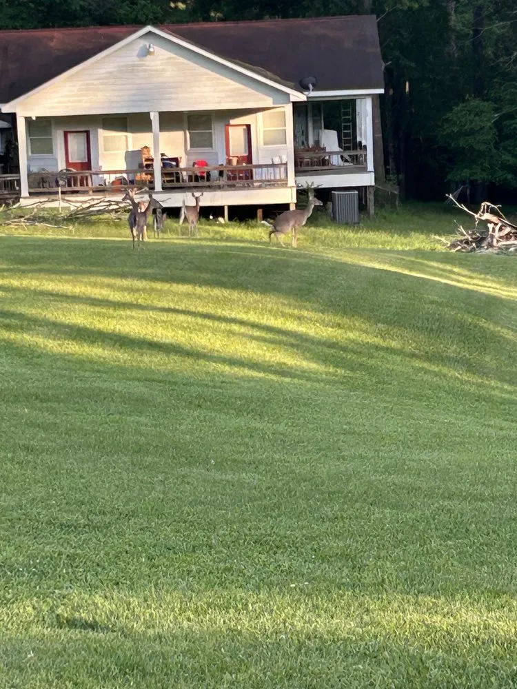 Top-rated yard cleanup service near you in Bryan, TX by Clean Cuts Lawn Care