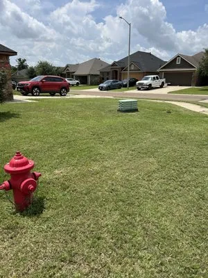 Clean Cuts Lawn Care Logo