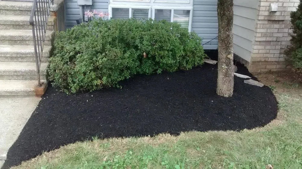 Trusted yard maintenance in Frederick, MD - Clean Cuts Lawn Care