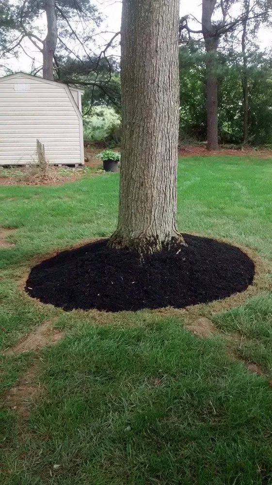 Top-rated outdoor landscaping in Frederick, MD - Clean Cuts Lawn Care