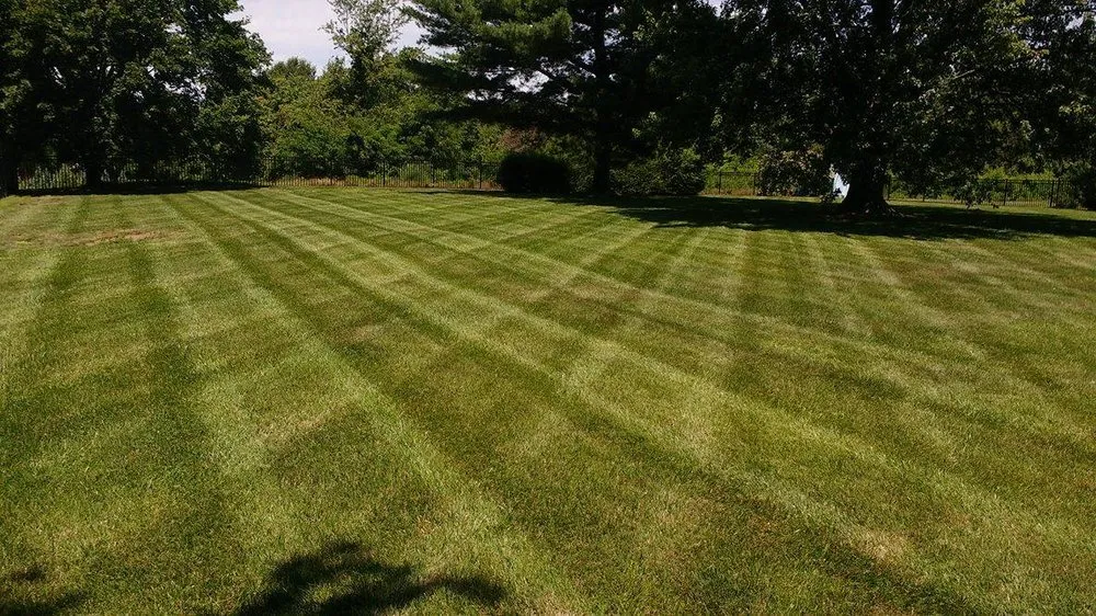 Top-rated lawn care service in Frederick, MD - Clean Cuts Lawn Care