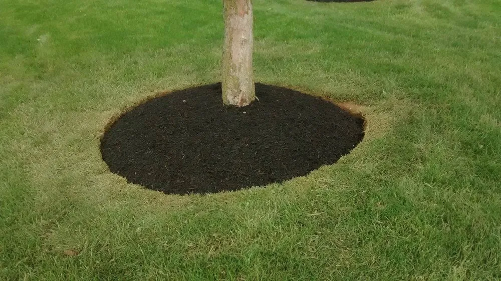 Expert lawn mowing service for outdoor upgrades across Frederick, MD - Clean Cuts Lawn Care