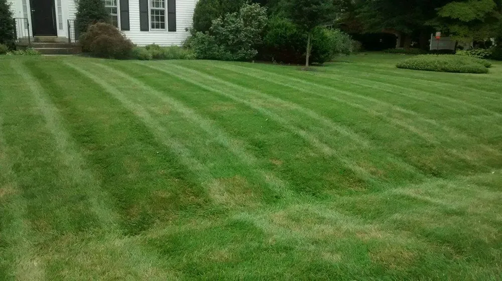Affordable lawn care service in Frederick, MD - Clean Cuts Lawn Care