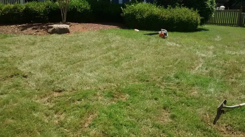 Expert lawn care service in Frederick, MD by Clean Cuts Lawn Care