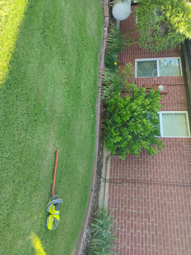 Top-rated yard cleanup service near you in Gainesville, TX by Clean Cuts Lawn Care Service