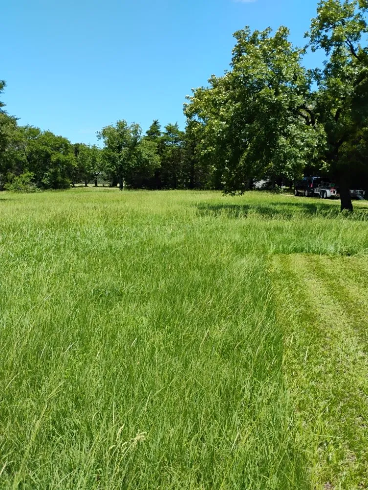 Professional landscape installation with custom design across Gainesville, TX - Clean Cuts Lawn Care Service