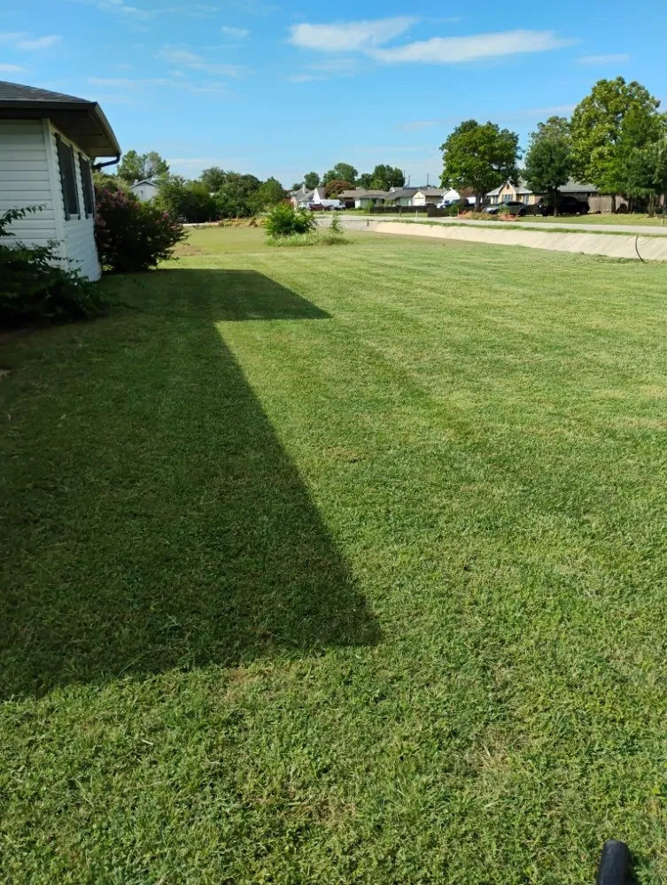 Professional yard maintenance experts serving Gainesville, TX - Clean Cuts Lawn Care Service