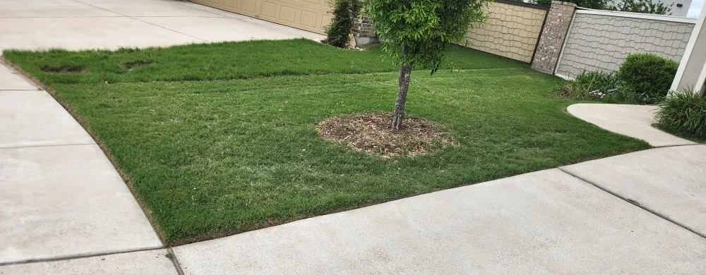 Professional yard maintenance for year-round maintenance in Lago Vista, TX by Clean Cuts Lawn Service