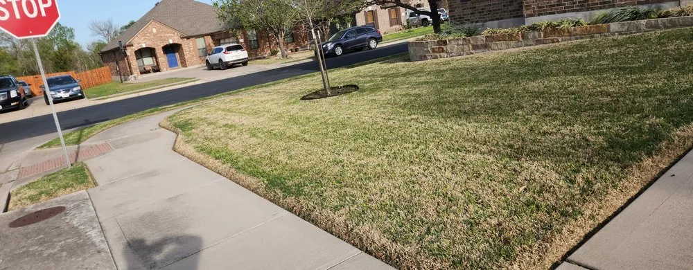 Local yard maintenance for beautiful yards across Lago Vista, TX - Clean Cuts Lawn Service