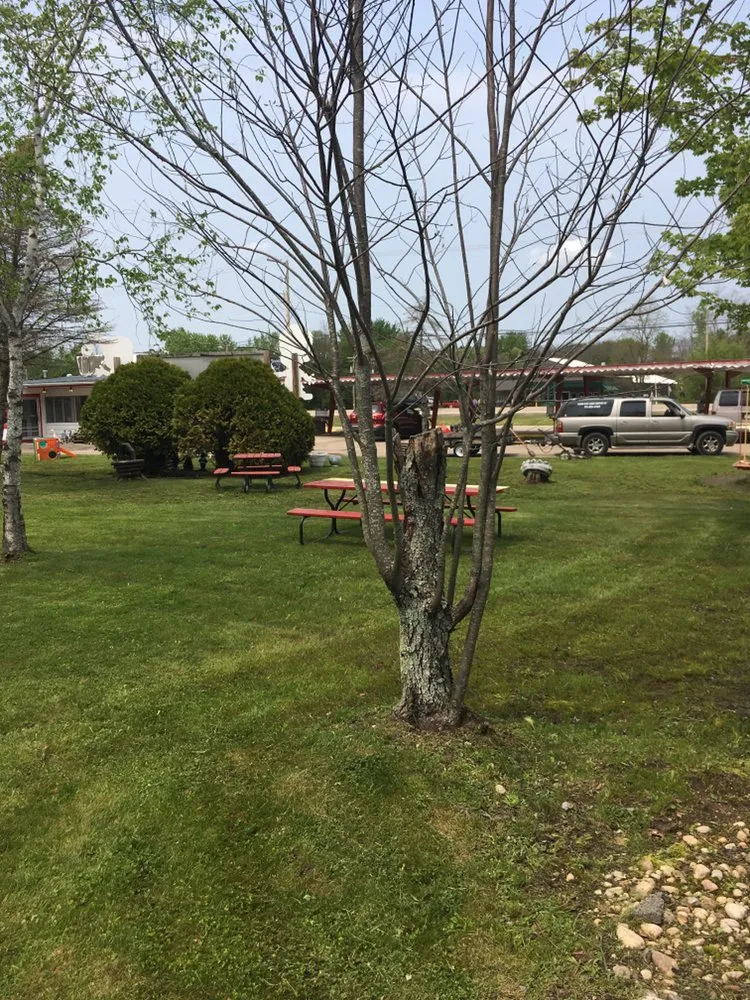 Affordable yard maintenance for year-round maintenance across Wautoma, WI - Clean Cuts Lawn Service