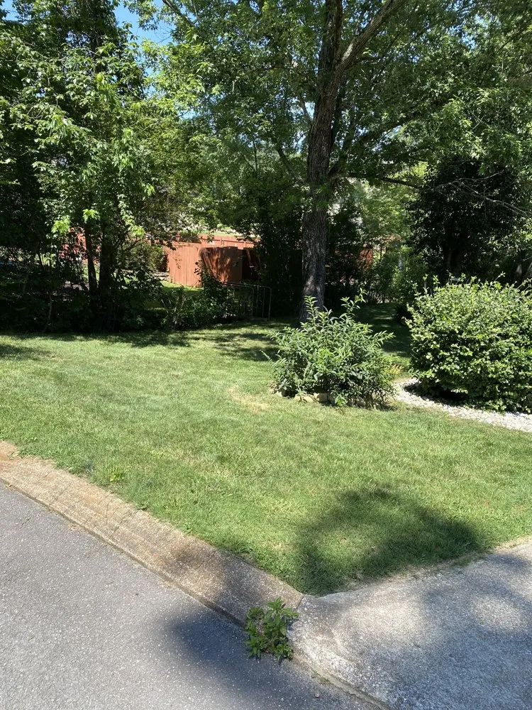 Local lawn mowing service in Ringgold, GA by Clean Cuts Mowing