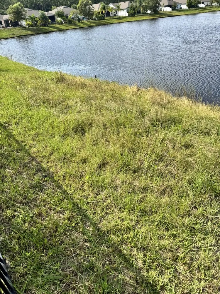 Expert landscape design with custom design in St Augustine, FL by Clean Cuts of Saint Augustine