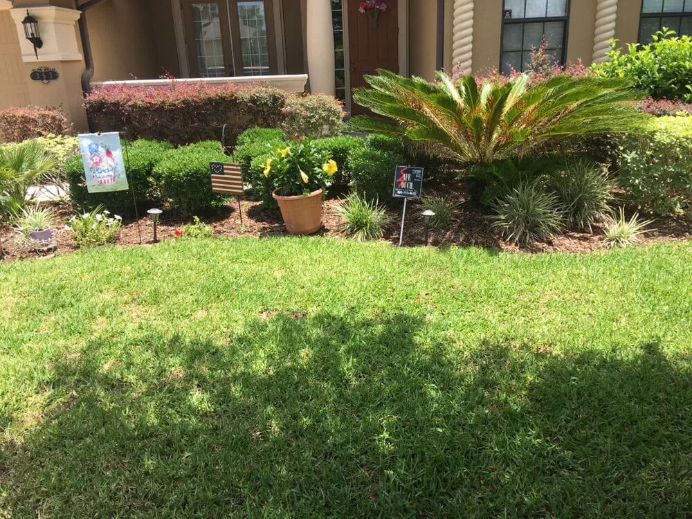 Top-rated yard cleanup service for year-round maintenance in St Augustine, FL by Clean Cuts of Saint Augustine