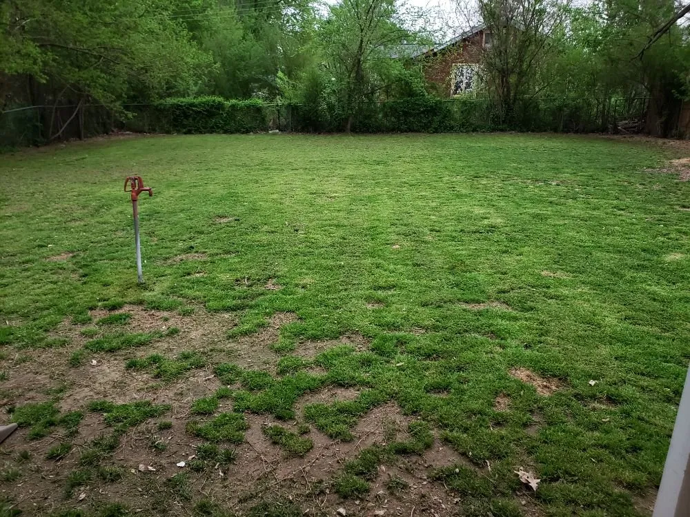 Affordable outdoor landscaping for beautiful yards in Springdale, AR by Clean Cuts