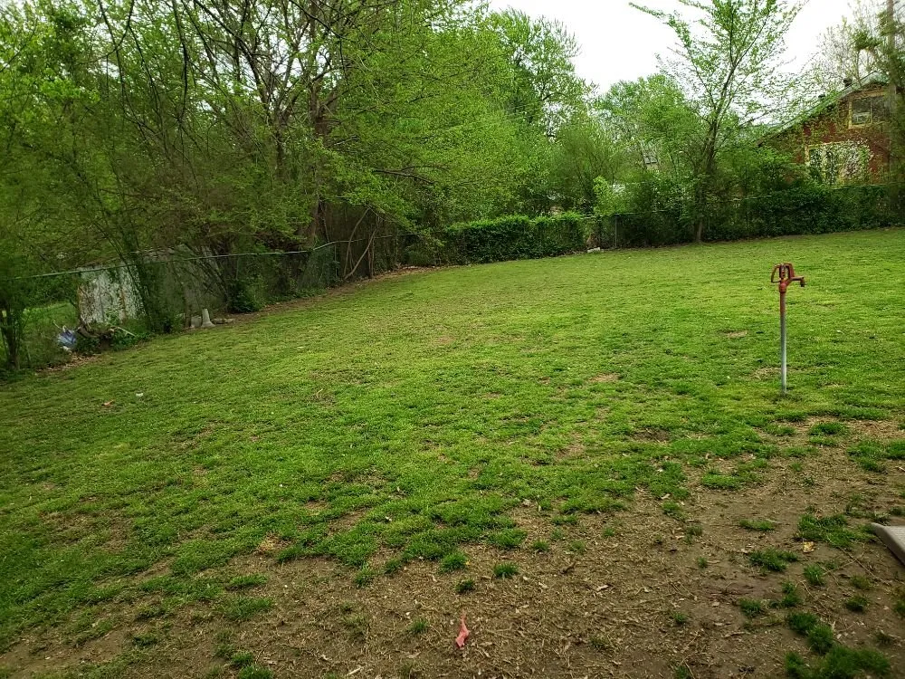 Professional landscape design experts serving Springdale, AR - Clean Cuts