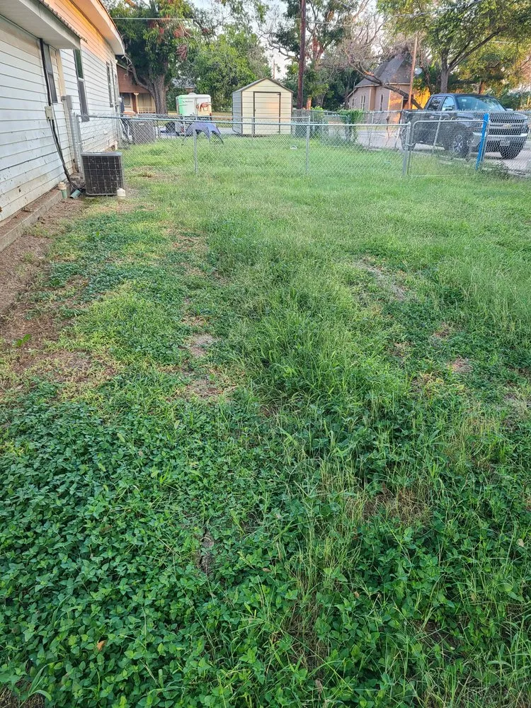 Top-rated lawn mowing service in Tolar, TX - Clean Cuts