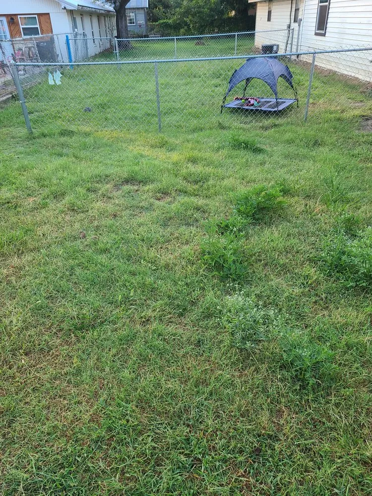 Custom landscape design in Tolar, TX by Clean Cuts