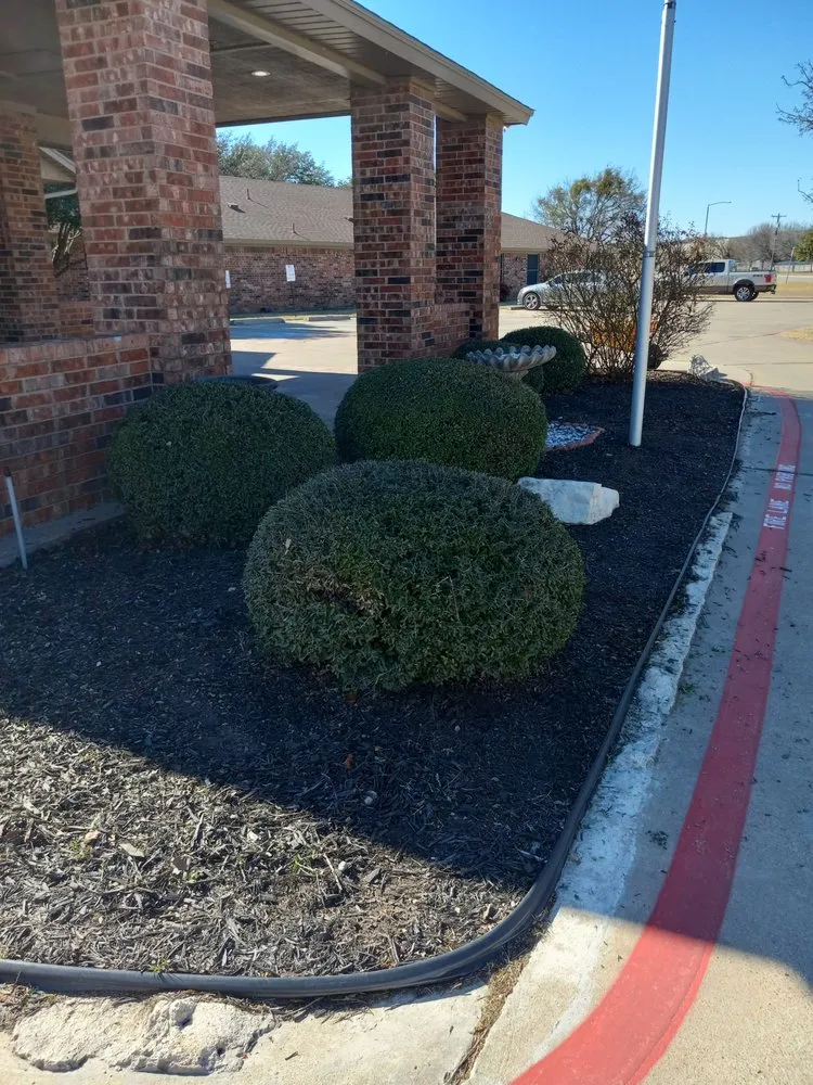 Trusted yard cleanup service experts serving Tolar, TX - Clean Cuts