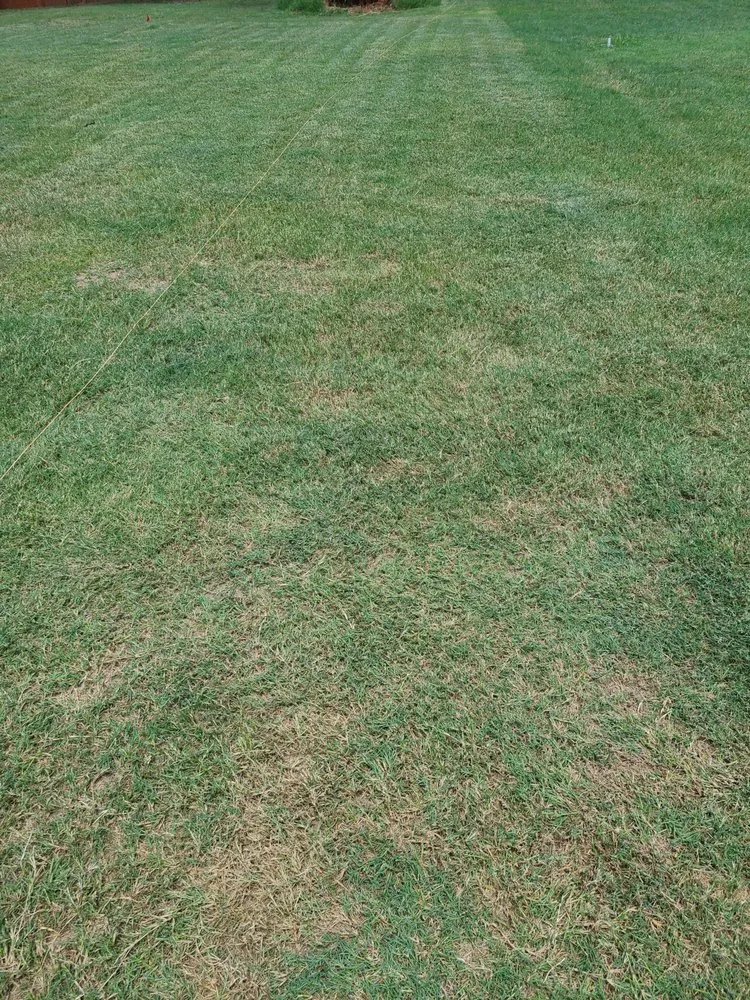 Reliable landscaping services for outdoor upgrades in Tolar, TX by Clean Cuts