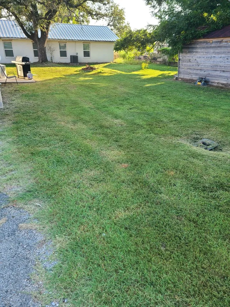 Affordable landscaping services for year-round maintenance in Tolar, TX by Clean Cuts