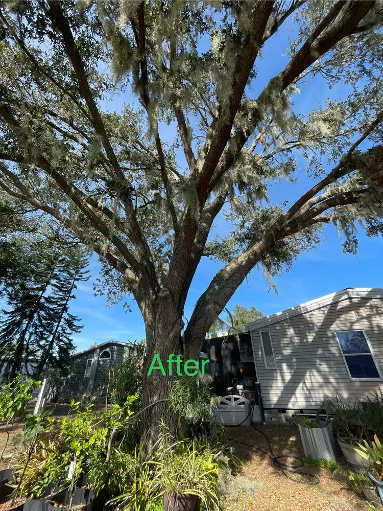 Custom outdoor landscaping experts serving Mulberry, FL - Clean Cuts Yard and Tree Services