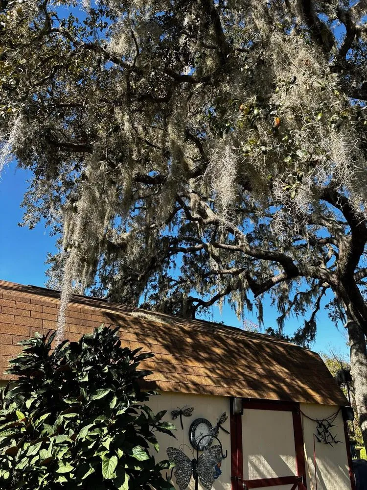 Custom landscape installation with custom design in Mulberry, FL by Clean Cuts Yard and Tree Services