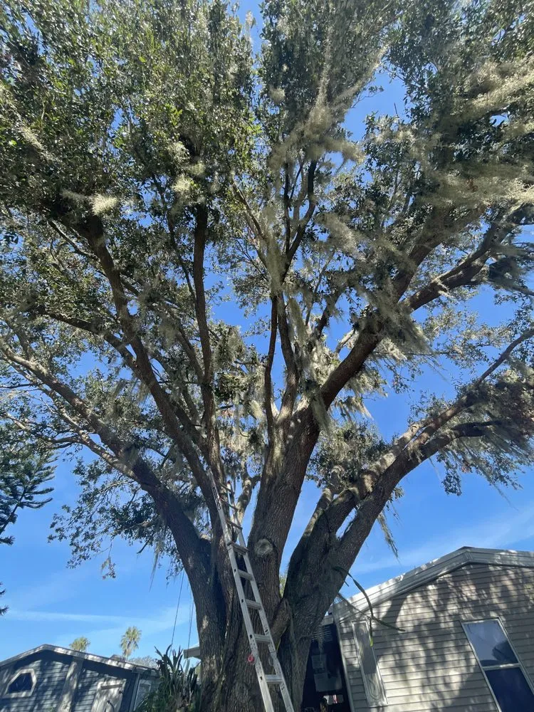 Reliable garden landscaping experts serving Mulberry, FL - Clean Cuts Yard and Tree Services