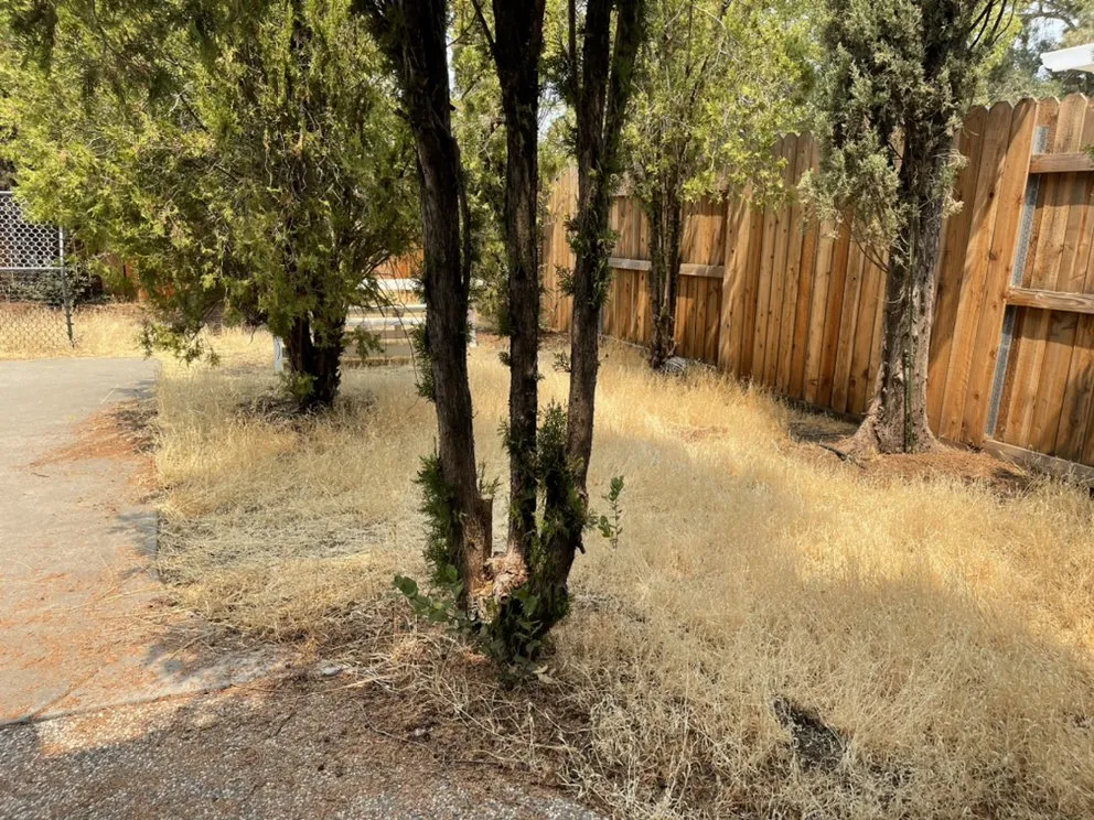 Reliable landscape installation in Fairfield, CA - Clean Cutt Landscaping