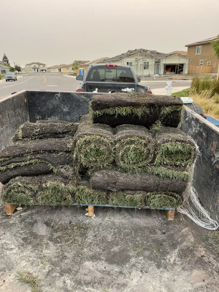 Reliable lawn mowing service in Fairfield, CA by Clean Cutt Landscaping