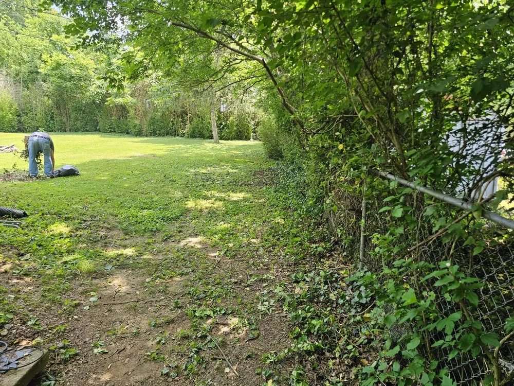 Top-rated landscape installation with custom design across Columbia, TN - Clean Cutter Lawncare