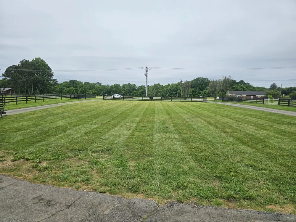 Local landscaping services experts serving Columbia, TN - Clean Cutter Lawncare