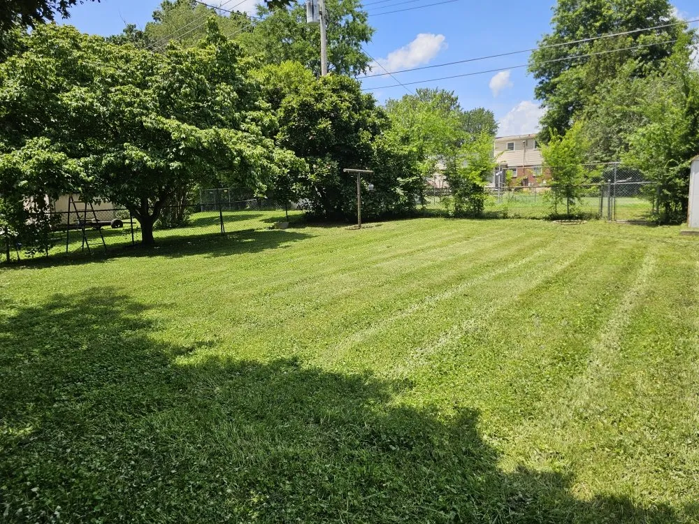 Custom garden landscaping for outdoor upgrades in Columbia, TN by Clean Cutter Lawncare