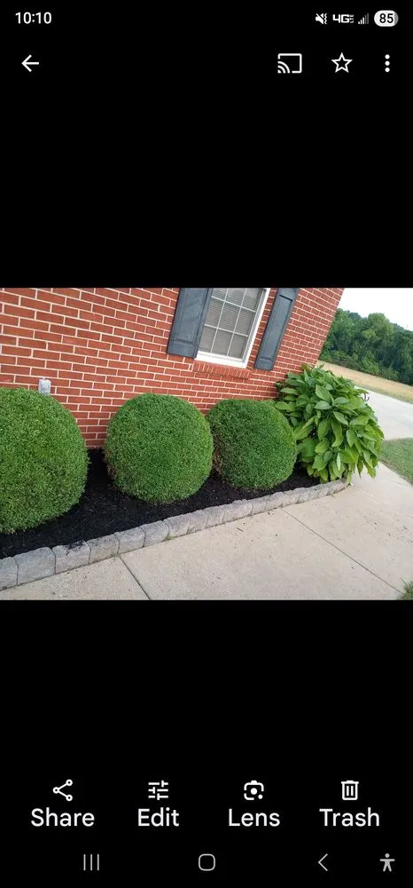 Top-rated lawn mowing service in Columbia, TN - Clean Cutter Lawncare