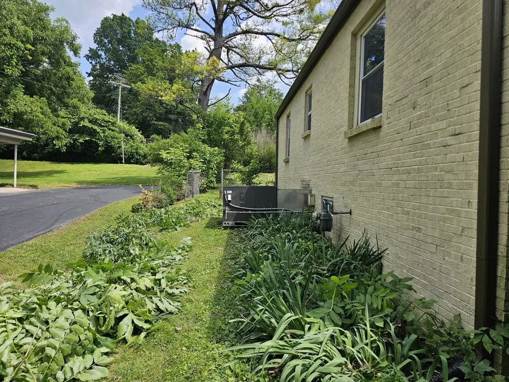 Top-rated outdoor landscaping experts serving Columbia, TN - Clean Cutter Lawncare