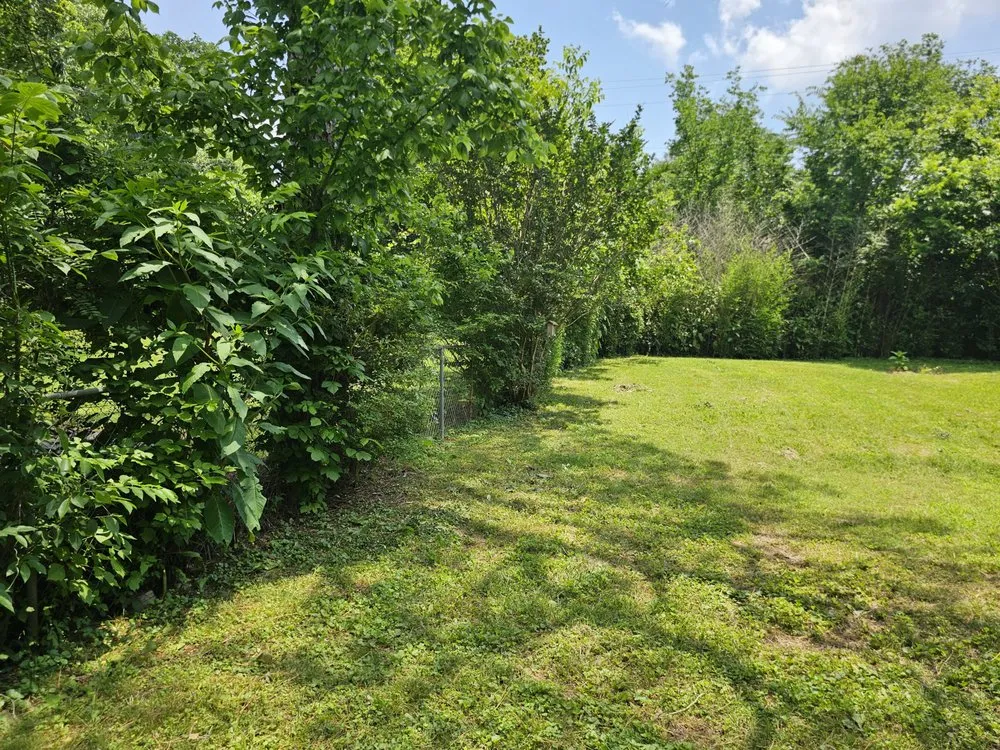 Reliable lawn mowing service experts serving Columbia, TN - Clean Cutter Lawncare