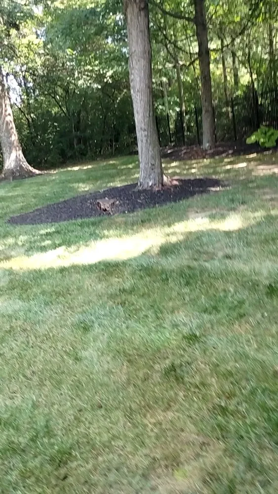 Affordable landscape design near you in Dayton, OH by Clean Cutz Landscape & Hardscape