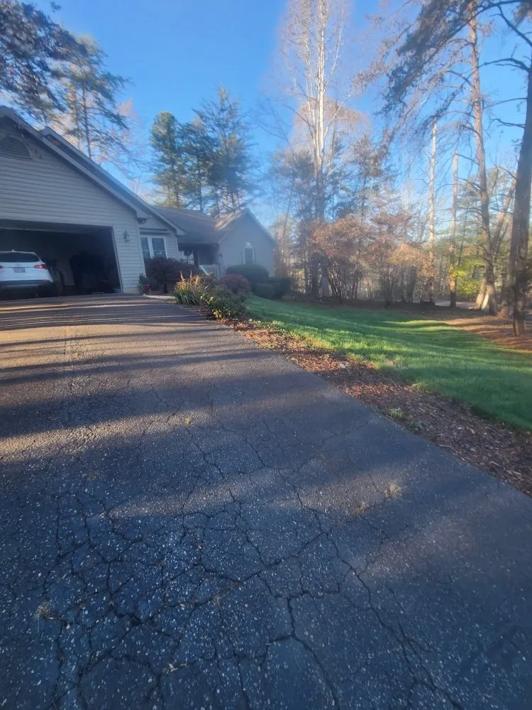 Expert landscaping services in Forest City, NC by Clean Cutz Landscaping