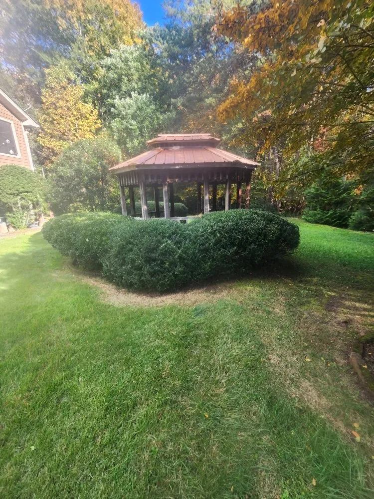 Custom landscape design in Forest City, NC by Clean Cutz Landscaping
