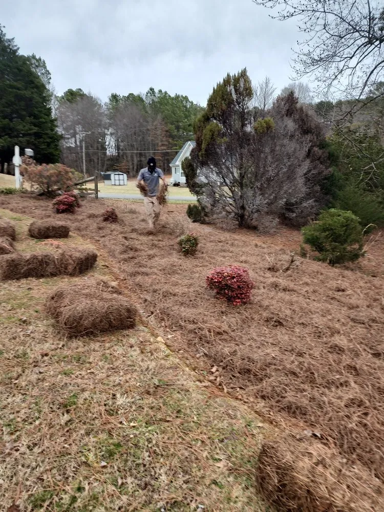 Expert landscape installation in Forest City, NC - Clean Cutz Landscaping