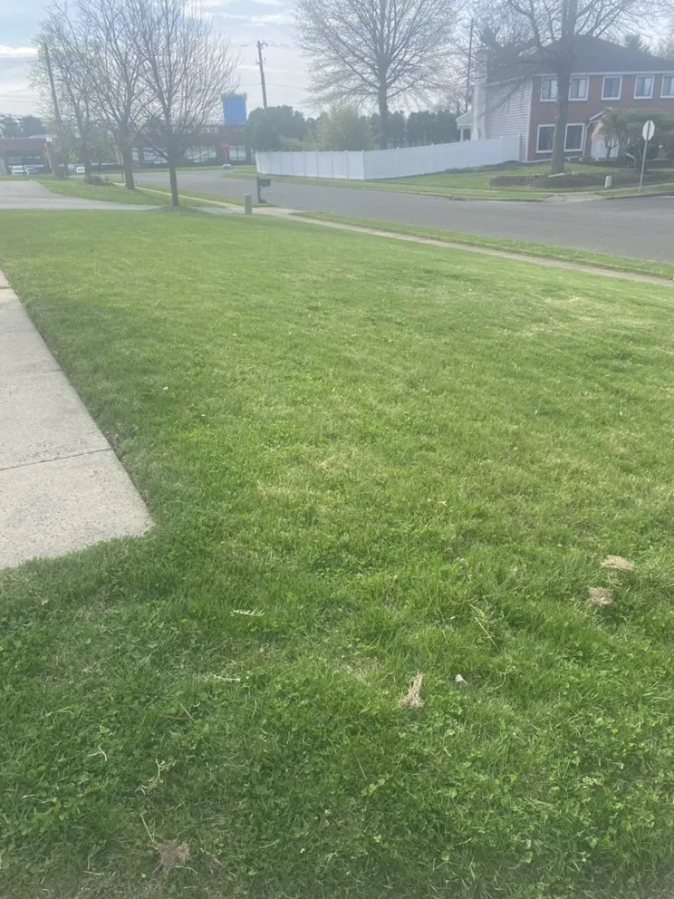 Custom landscape design in Philadelphia, PA - Clean Cutz Landscaping