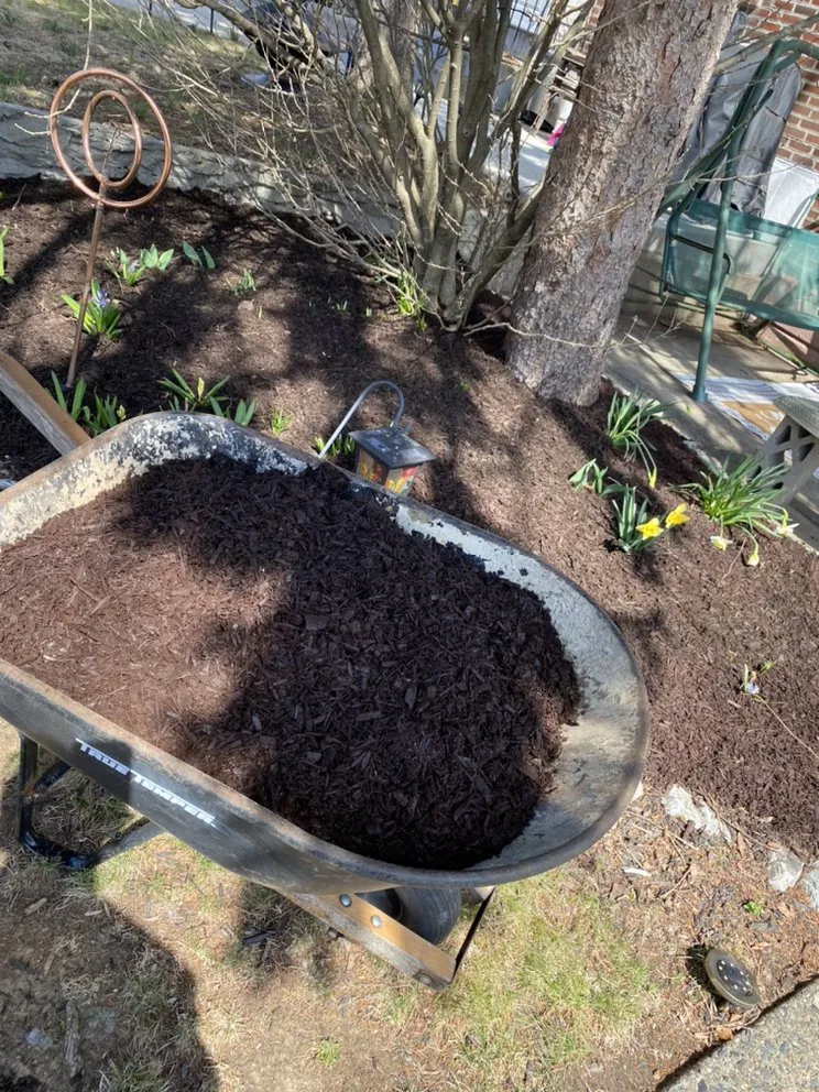 Professional yard cleanup service experts serving Philadelphia, PA - Clean Cutz Landscaping