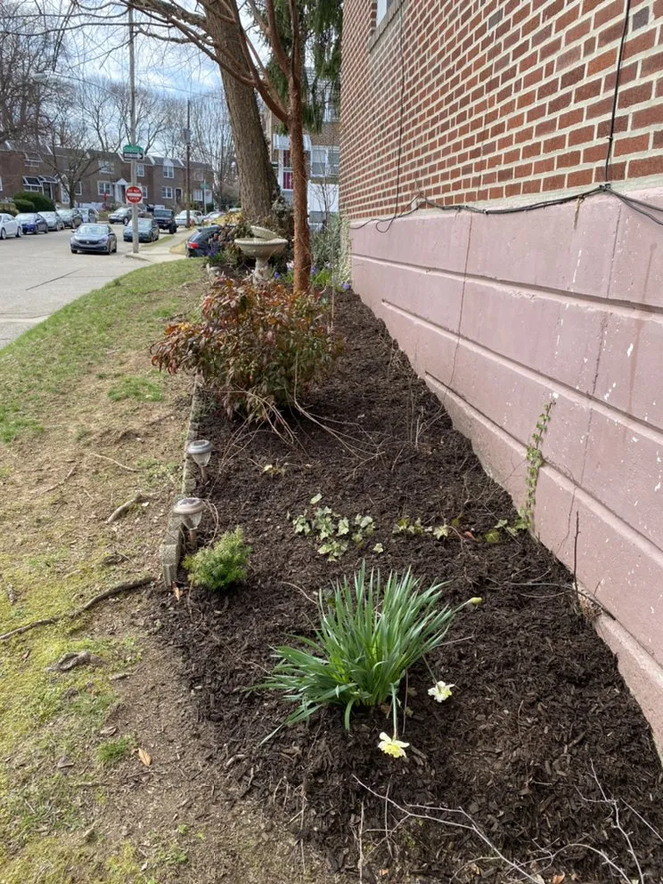 Local yard cleanup service in Philadelphia, PA by Clean Cutz Landscaping