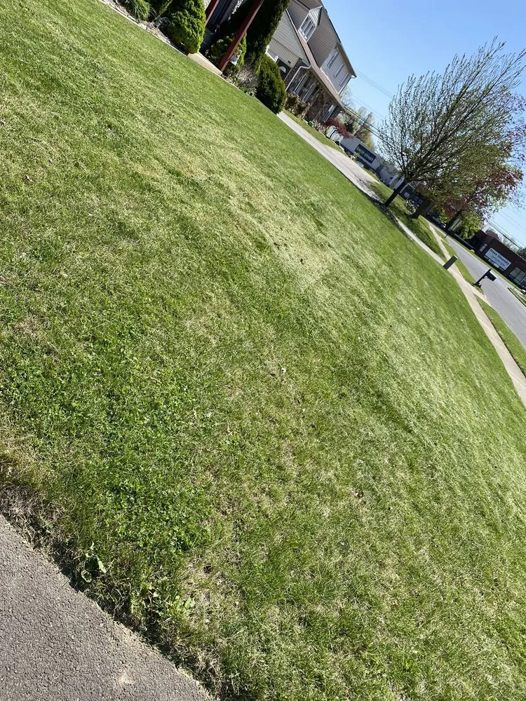 Reliable landscaping services in Philadelphia, PA by Clean Cutz Landscaping