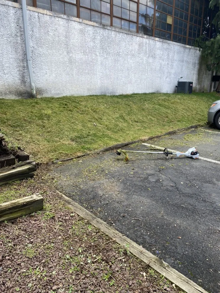 Custom landscape installation in Philadelphia, PA - Clean Cutz Landscaping