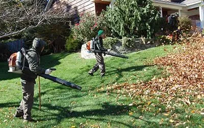 Professional lawn mowing service experts serving Wilmington, NC - Clean Cutz Lawn Service