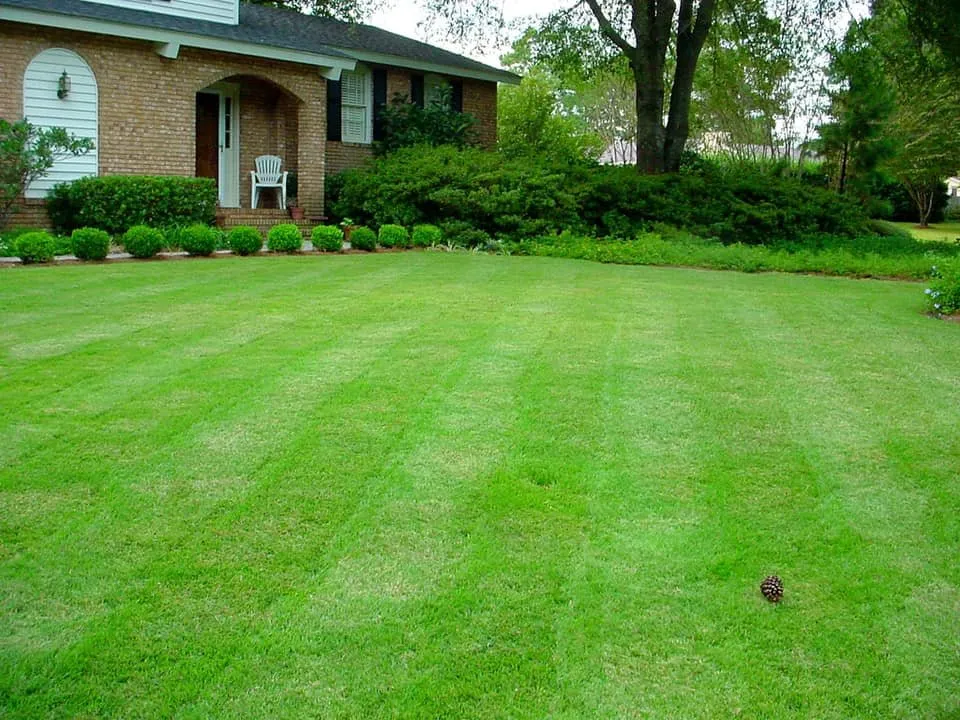Professional landscaping services in Wilmington, NC - Clean Cutz Lawn Service