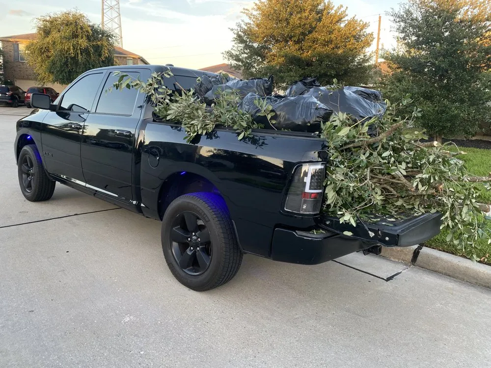 Top-rated landscape design experts serving The Woodlands, TX - Clean Edge And Cutz