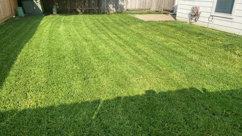 Trusted yard maintenance in The Woodlands, TX - Clean Edge And Cutz