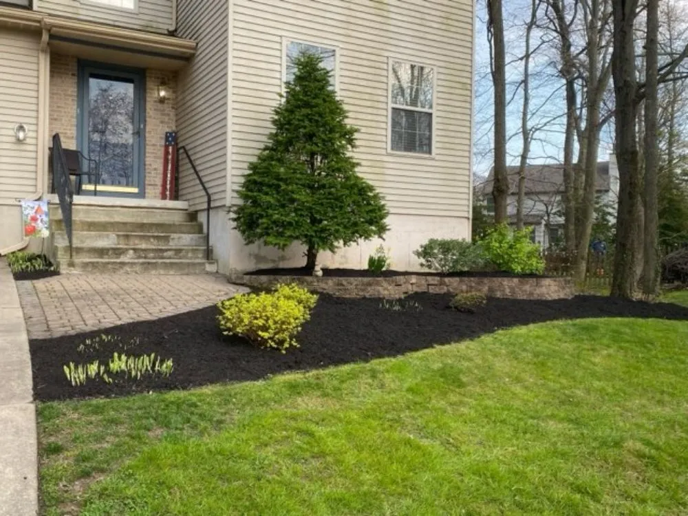 Professional landscape installation for outdoor upgrades in Woodbury, NJ by Clean Edge Lawn Solutions
